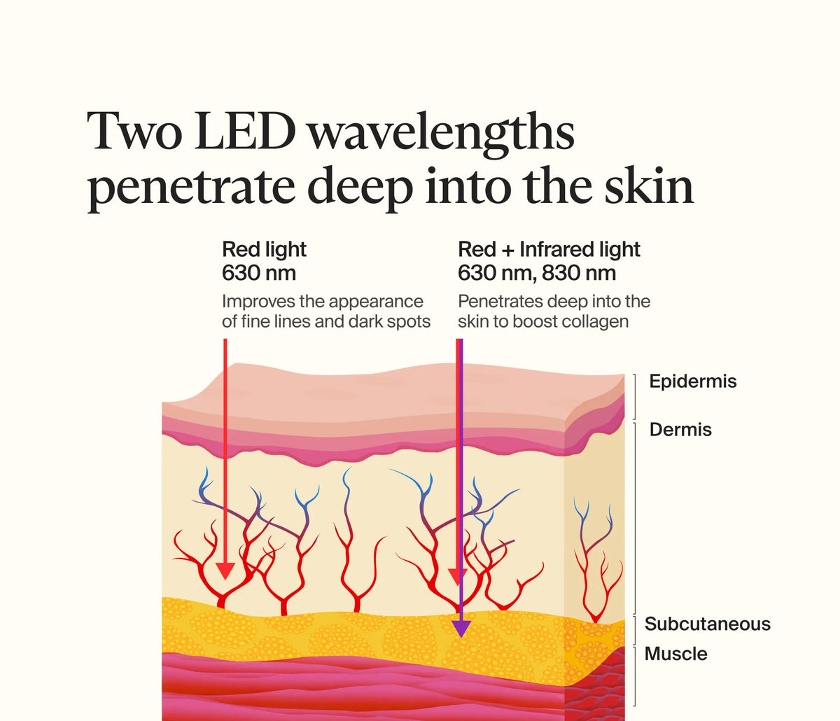 Neck & Chest LED