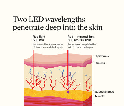 Neck & Chest LED